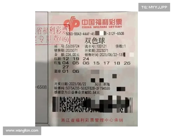 双色球彩票分析与投注技巧全解析提升中奖几率的实用方法与策略 双色球彩票分析与投注技巧全解析提升中奖几率的实用方法与策略